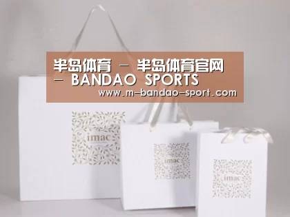 项目名称十一