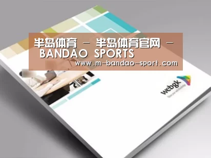 项目名称九