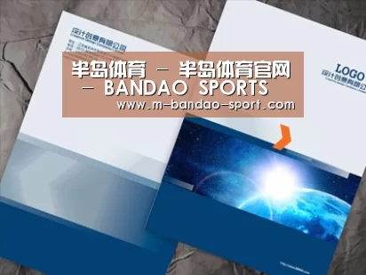项目名称十