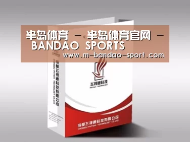 项目名称十三