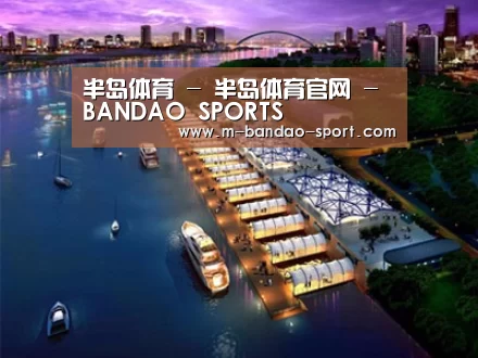 案例展示八