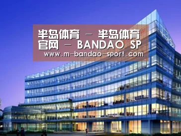 案例展示五